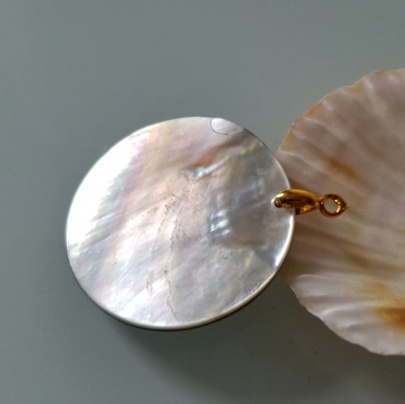 NWT *🔥 2/$20 - Carved Abalone Shell Under The Sea - Picture 3 of 5